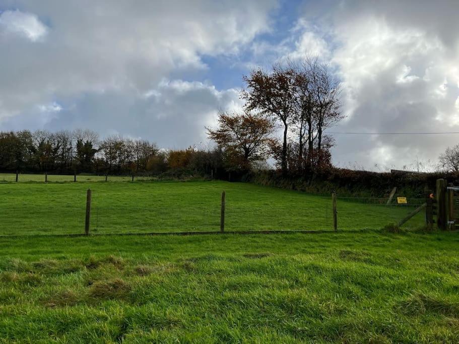 Woodland View At Hewish Mill Villa Bittadon Kültér fotó
